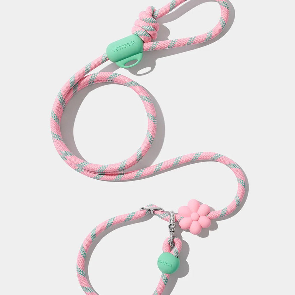 Flora
