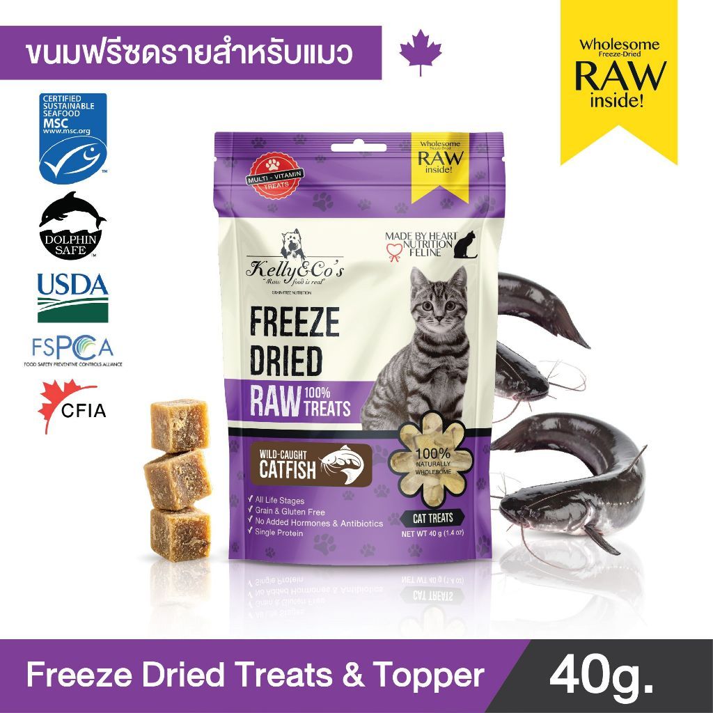Catfish