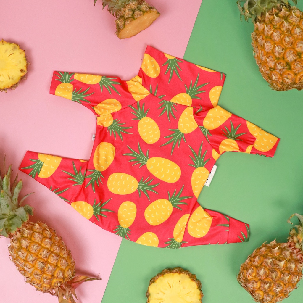 Cat & Dog Protection Suit Fruits Collection by Clawset