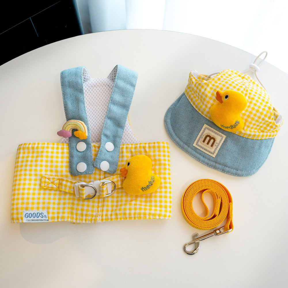 Duck Leash + Hat